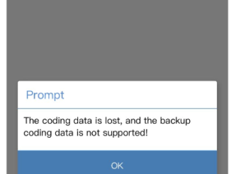 Yanhua Acdp Bmw Bdc2 Coding Data Is Lost